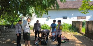 Polisi Gerebek Arena Sabung Ayam di Gondangwetan, Penjudi Kocar-Kacir