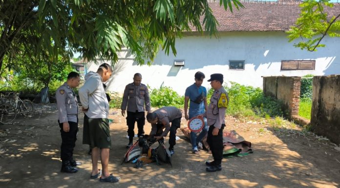 Polisi Gerebek Arena Sabung Ayam di Gondangwetan hingga Etalase Talenta Kreatif Mahasiswa DKV UNU Pasuruan | Koran Online 9 Jun