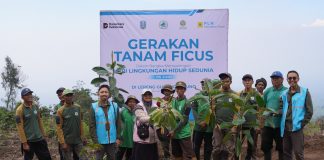 PLN Indonesia Power UBP Grati Tanam Pohon Ficus di Lereng Hutan untuk Jaga Sumber Mata Air