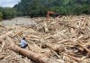 Peredaran Kayu Ilegal, Ancaman Nyata bagi Masa Depan Hutan