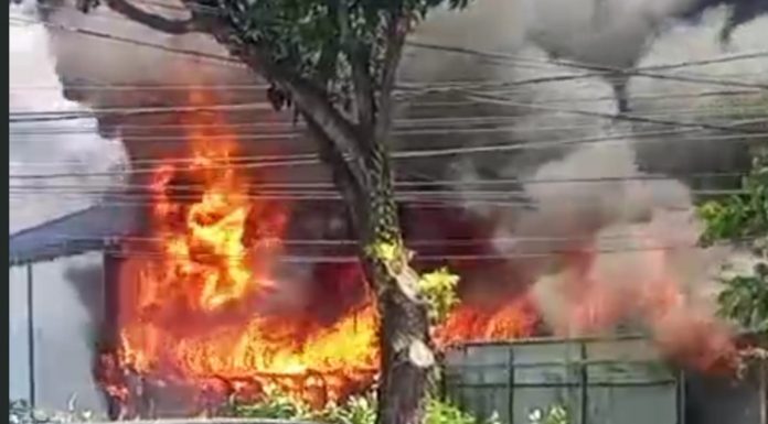 Kebakaran Hanguskan Toko Ban dan Peracangan di Paiton, Api Muncul saat Listrik Padam