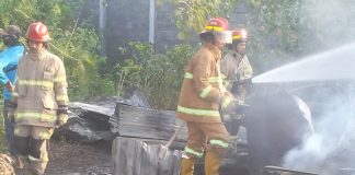 Musim Kemarau Bikin Probolinggo Rawan Kebakaran, Damkar Minta Warga Waspadai Angin Gending