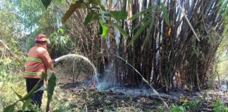 Musim Angin, Sebulan Terjadi 9 Kebakaran di Pasuruan