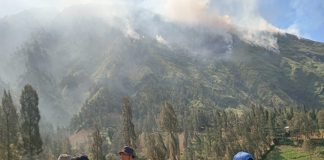 Kebakaran Landa Gunung Ringgit Probolinggo, Medan Terjal Hambat Upaya Penanganan