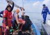 Laut Utara Jawa Bergelombang Tinggi, BMKG Ingatkan Nelayan Pasuruan Utamakan Keselamatan