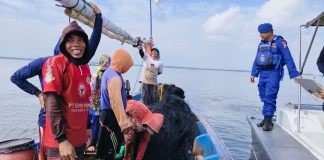 Laut Utara Jawa Bergelombang Tinggi, BMKG Ingatkan Nelayan Pasuruan Utamakan Keselamatan