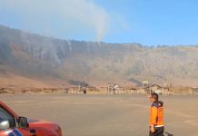 Kebakaran Hutan TNBTS Meluas ke Lereng Bromo Arah Probolinggo, BPBD Kerahkan Tim Cegah Api Masuk Bukit Teletubbies