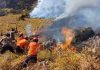 Karhutla Bromo Belum Padam dan Hanguskan Sekitar 10 Hektare Hutan