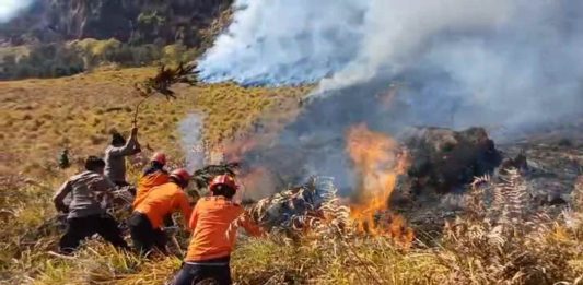 Karhutla Bromo Belum Padam dan Hanguskan Sekitar 10 Hektare Hutan