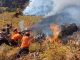 Karhutla Bromo Belum Padam dan Hanguskan Sekitar 10 Hektare Hutan