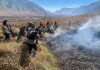 Api Belum Padam, Negara Diuji Menyelamatkan Ekosistem Bromo