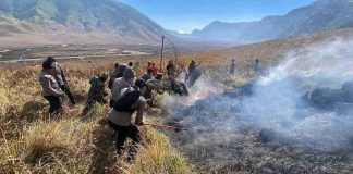 Api Belum Padam, Negara Diuji Menyelamatkan Ekosistem Bromo
