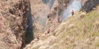 Bukan dari Jalur Wisata, Api Kebakaran Bromo Diduga Berawal dari Jalur Tikus Warga