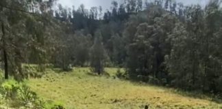 Pendaki Asal Sumenep Meninggal di Gunung Argopuro, Diduga Hipotermia