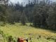Pendaki Asal Sumenep Meninggal di Gunung Argopuro, Diduga Hipotermia