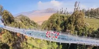 Seruni Point dan Jembatan Kaca Jadi Alternatif Menikmati Bromo Saat Karhutla
