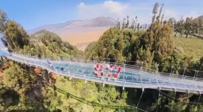 Seruni Point dan Jembatan Kaca Jadi Alternatif Menikmati Bromo Saat Karhutla