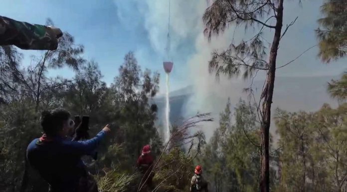 Kebakaran Bromo Kembali Membesar, Medan Terjal Hambat Pemadaman di Dekat Seruni Point