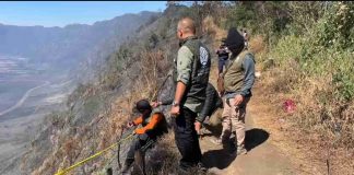 Dugaan Pidana Kebakaran Bromo Diselidiki Kemenhut, Ahli IPB Ambil Sampel Tanah