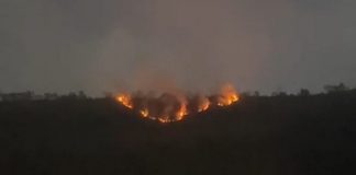 Kebakaran Hutan, Jalur Jemplang dan Senduro Menuju Bromo Ditutup Sementara