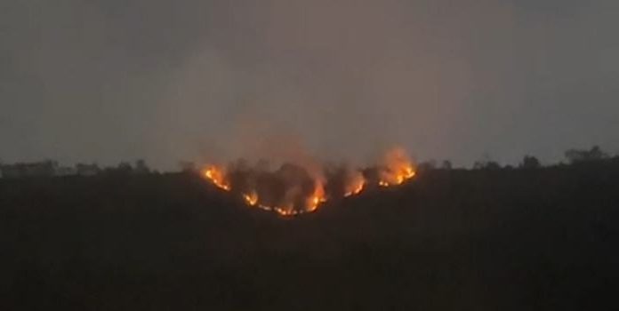 Kebakaran Hutan, Jalur Jemplang dan Senduro Menuju Bromo Ditutup Sementara