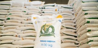 Bantuan Beras 30 Kg Bakal Disalurkan pada 17 Agustus, 33,24 Juta KPM Jadi Penerima
