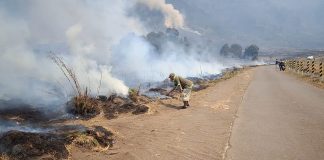 Kebakaran Bromo Meluas Hingga 50 Hektare, Warga dan Tim Gabungan Padamkan Api dengan Ranting Pohon