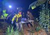 Lansia di Winongan Ditemukan Meninggal di Kebun Jeruk, Polisi Temukan Luka Diduga Akibat Sabetan