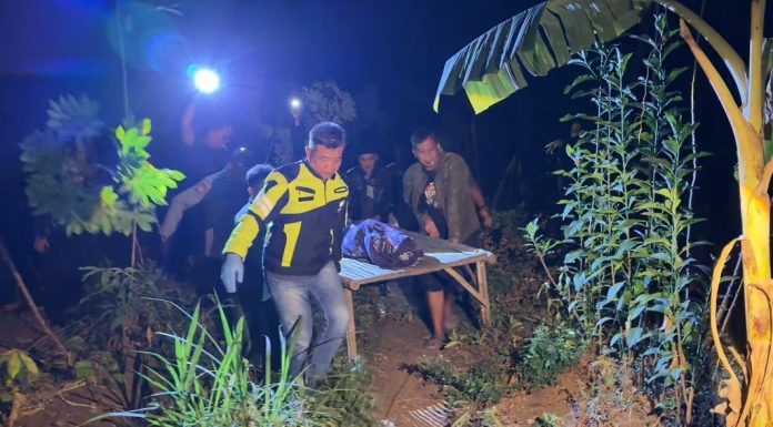 Lansia di Winongan Ditemukan Meninggal di Kebun Jeruk hingga Pembawa Sabu 5Kg Dituntut 17 Tahun Penjara | Koran Online 7 Ags