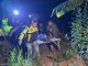 Lansia di Winongan Ditemukan Meninggal di Kebun Jeruk hingga Pembawa Sabu 5Kg Dituntut 17 Tahun Penjara | Koran Online 7 Ags