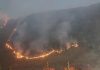 Api Mulai Mengancam Puncak B29, Kebakaran Hutan Bromo Meluas hingga 127 Hektare