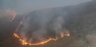 Api Mulai Mengancam Puncak B29, Kebakaran Hutan Bromo Meluas hingga 127 Hektare