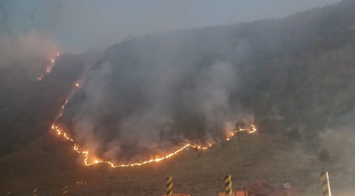 Api Mulai Mengancam Puncak B29, Kebakaran Hutan Bromo Meluas hingga 127 Hektare