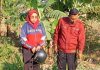 Berangkat Kerja Usai Subuh, Karyawati PT HM Sampoerna Jadi Korban Begal di Probolinggo, Motor hingga Ponsel Raib