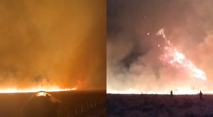 Kebakaran Bromo Kian Mencekam! Api Merembet Cepat ke Savana Watangan, Relawan Berteriak Minta Semua Mundur