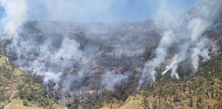 Karhutla Bromo Melonjak, Luas Area Terbakar Tembus 520 Hektare dalam Dua Hari
