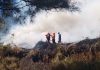 Kebakaran Bromo Meluas, Lima Titik Api Terdeteksi dan Bergerak ke Bukit Kingkong