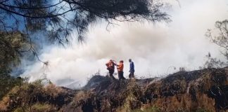 Kebakaran Bromo Meluas, Lima Titik Api Terdeteksi dan Bergerak ke Bukit Kingkong