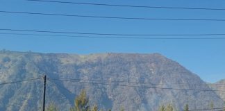 Karhutla Bromo di Wilayah Probolinggo Padam, Tim Gabungan Beralih ke Pasuruan