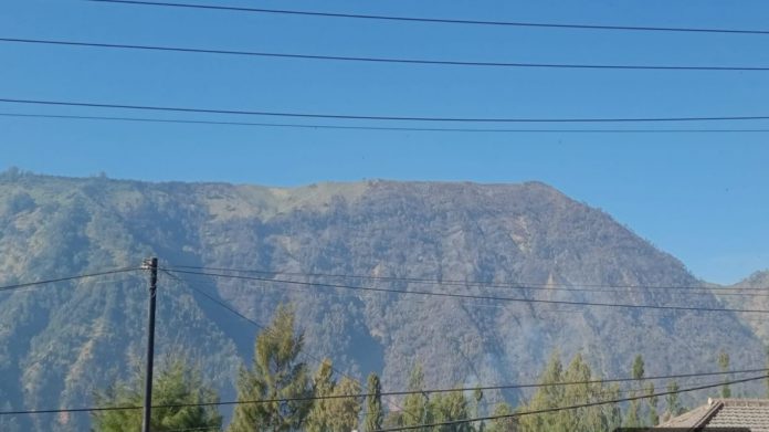 IMG-20260812-WA0049