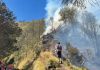 Karhutla Masih Ada di Bukit Kingkong, Water Bombing Dipusatkan di Tosari