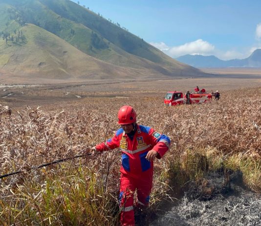 Operasi Karhutla Bromo Dihentikan, Satgas Balik Kanan