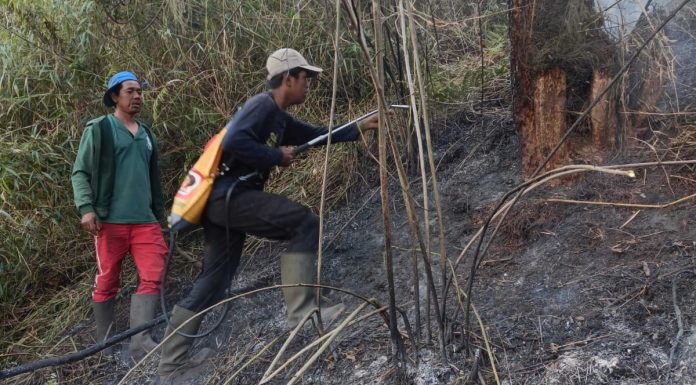 Jalur Pendakian Semeru Ditutup Total, Kebakaran Muncul di Blok Ranu Kembang
