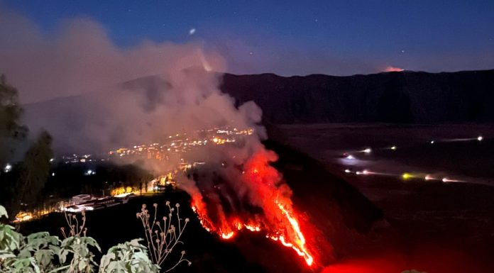 Api Kembali Membakar Lereng Bromo, Mendekati Homestay dan Jembatan Kaca