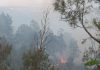 Bromo Kembali Terbakar, Api Dekati Bukit Kingkong