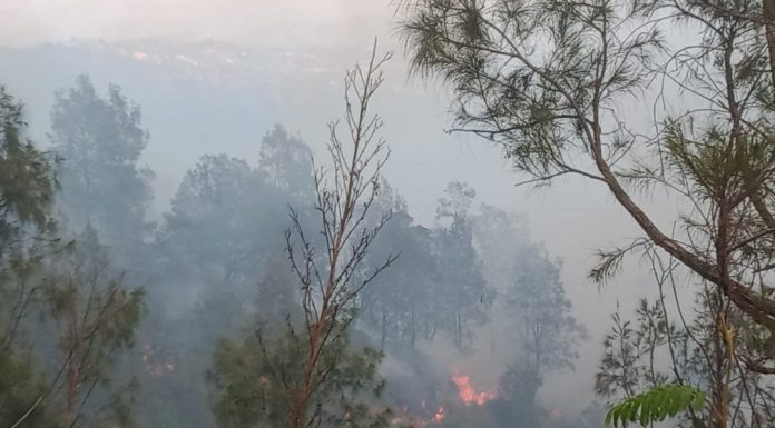 Bromo Kembali Terbakar, Api Dekati Bukit Kingkong