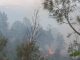 Bromo Kembali Terbakar, Api Dekati Bukit Kingkong