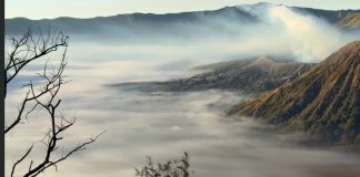 Bromo Kembali Dibuka, 1.068 Wisatawan Langsung Masuk pada Hari Pertama