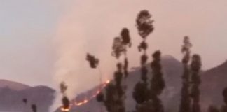 Api Kembali Membara di Bromo, Titik Kebakaran Muncul Lagi di Dingklik dan P-30