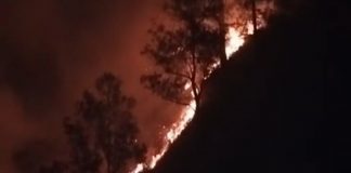Api Bromo Mendekati Seruni Point, Pemkab Probolinggo Tutup Akses Wisata